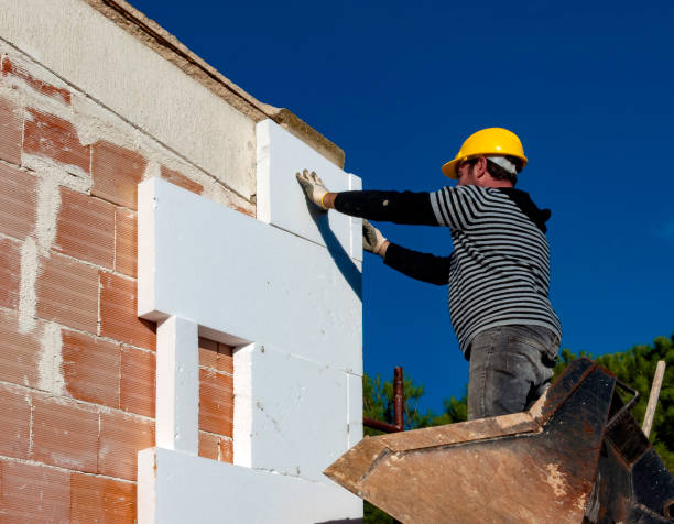Best Geographic-Specific Insulation Services in Tega Cay, SC