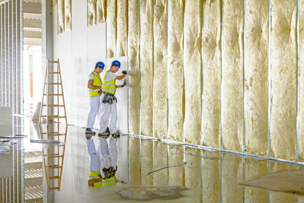 Best Commercial Insulation in Tega Cay, SC